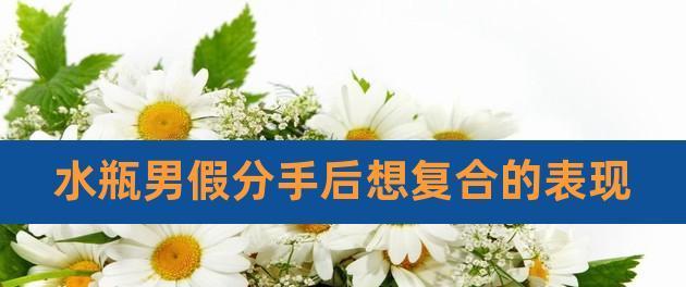 走出分手阴影，让水瓶男提出复合（如何引导水瓶男复合）