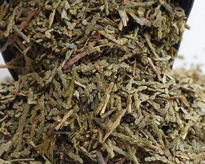 侧柏叶有哪些神奇的功效？使用侧柏叶需要注意什么问题？