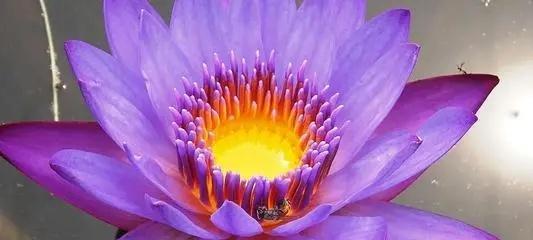 短句挽回心态，重新拾起信心（不要放弃）