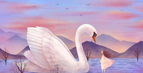 2024年前桃花运旺盛的三大星座（爱情春天来了）