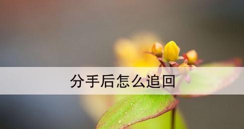 初恋女友分手后如何挽回？有效挽回策略有哪些？