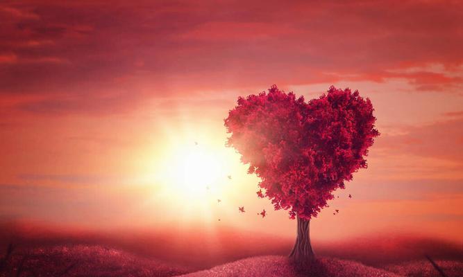 如何处理喜欢上一个已经有喜欢对象的人的情感困扰？