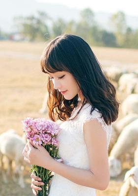 掌握女心的关键秘笈（男人恋爱宝典）