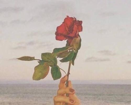 美好的爱情与感情不是盲目投入的（如何建立健康的情感关系）