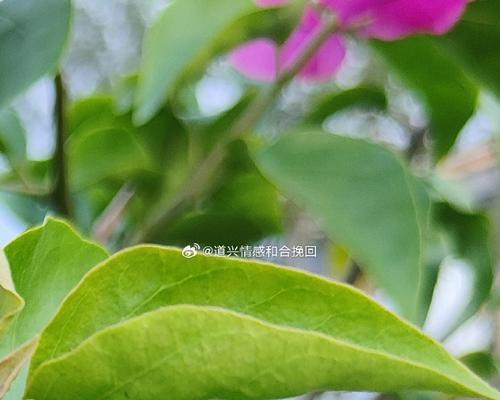 夫妻感情下降怎么办？四招简单方法让爱重生？