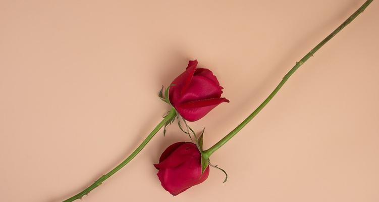 如何测试异性同事是否对你有感觉？常见迹象有哪些？