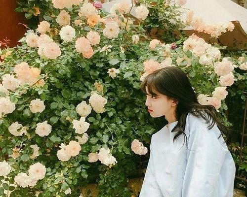 心动一刹那，深情背负不起（爱情的悲欢离合）