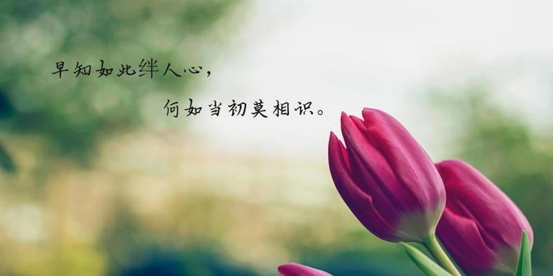 如何挽回心冷的妻子（建立沟通信任关注关怀）