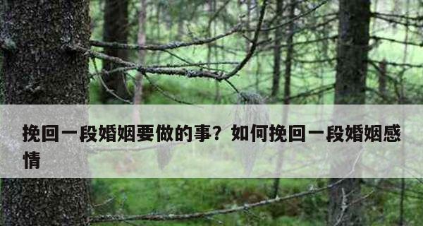挽回爱的艺术（以做错事情为例）