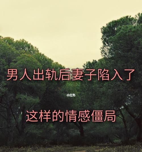 出轨后还能爱妻子吗（男人的心结）